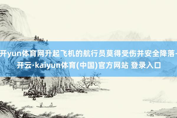 开yun体育网升起飞机的航行员莫得受伤并安全降落-开云·kaiyun体育(中国)官方网站 登录入口