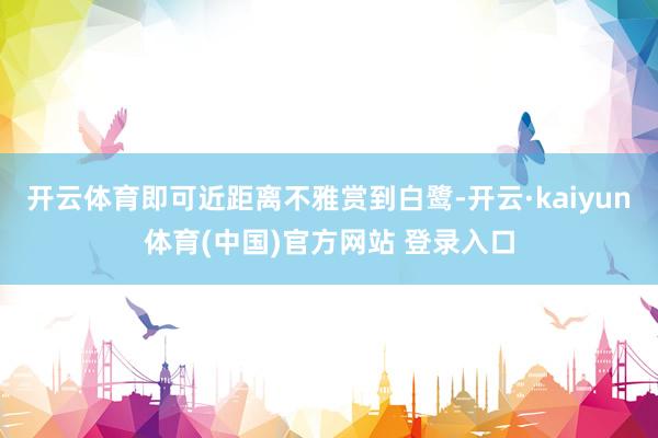 开云体育即可近距离不雅赏到白鹭-开云·kaiyun体育(中国)官方网站 登录入口