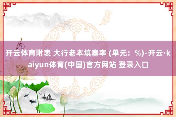 开云体育附表 大行老本填塞率 (单元：%)-开云·kaiyun体育(中国)官方网站 登录入口