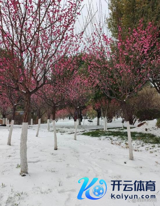 老话“最怕大寒晴又暖”,当天大寒 预示表象额外