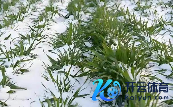 老话“最怕大寒晴又暖”,当天大寒