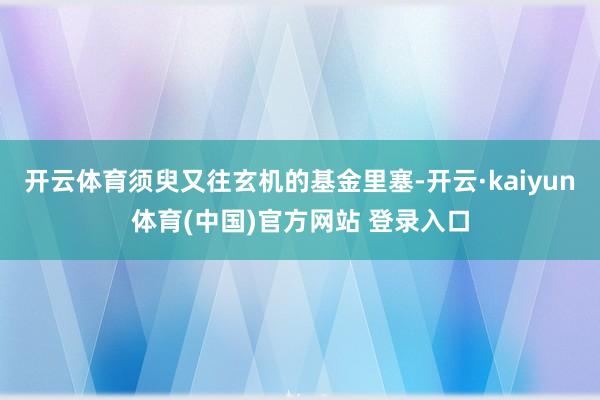 开云体育须臾又往玄机的基金里塞-开云·kaiyun体育(中国)官方网站 登录入口